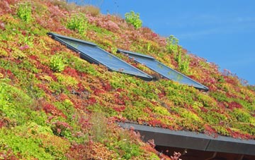 Sand Hutton living roof systems