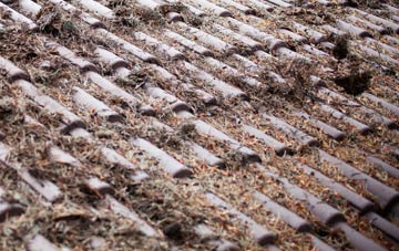 Sand Hutton roof cleaning companies